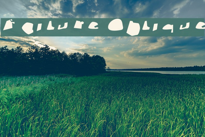Failure Oblique Font examples