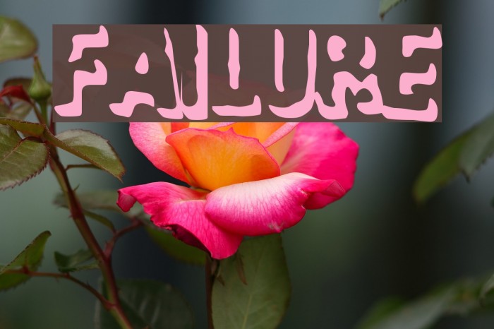 Failure Fonte examples