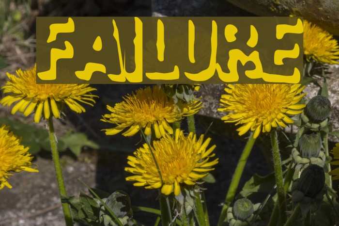Failure Fonte examples