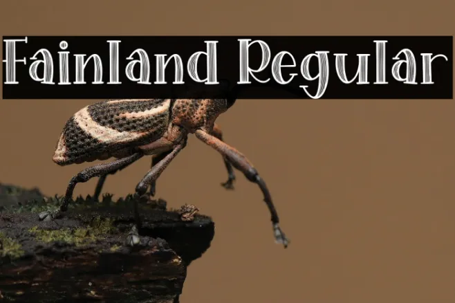 Fainland Regular Example 3