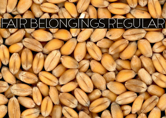 Fair Belongings Regular Example 1