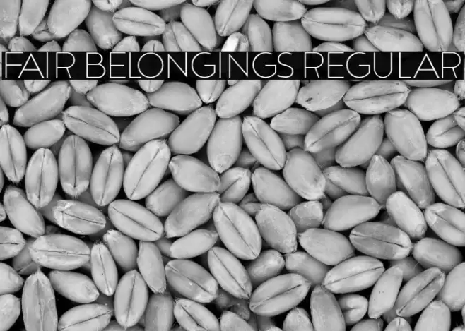 Fair Belongings Regular Font examples