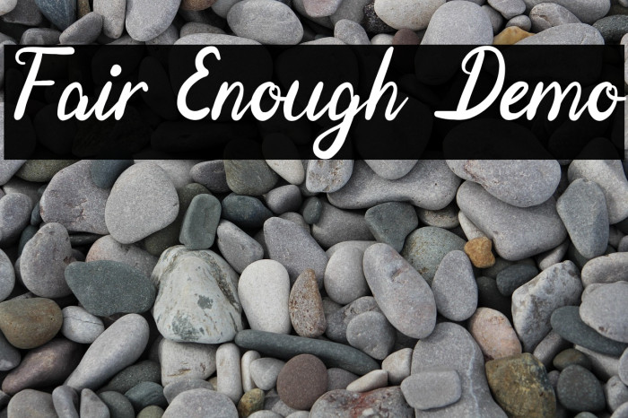 Fair Enough Demo Example 3