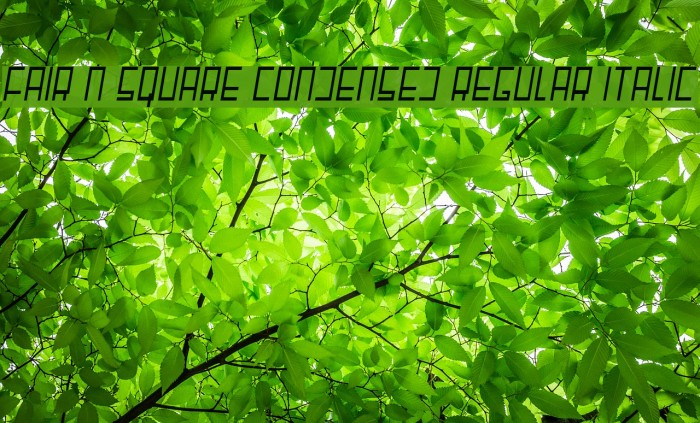 Fair N Square Condensed Regular Italic Example 2