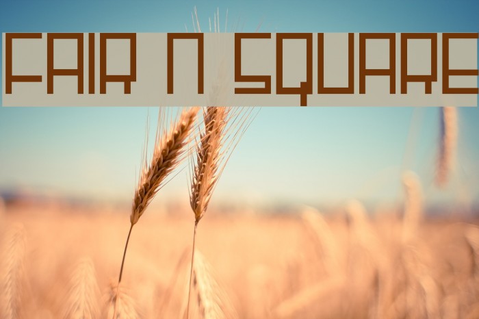 Fair N Square Font examples