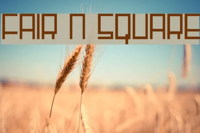 Fair N Square Example 2