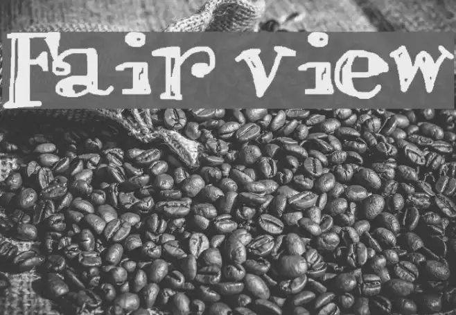 Fair view Font examples