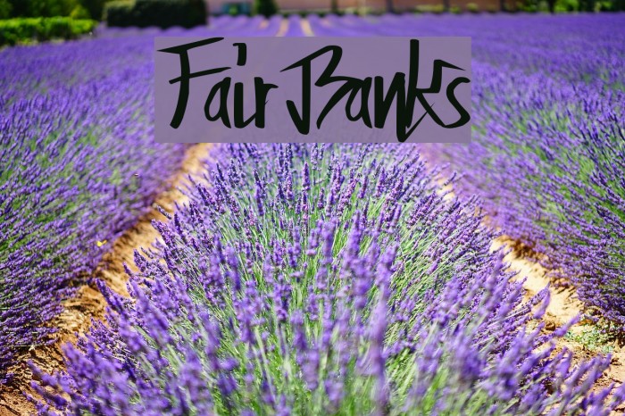 FairBanks Font examples