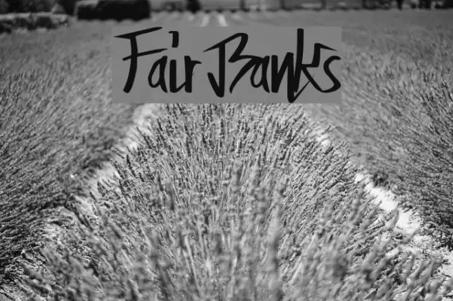 FairBanks Caratteri examples