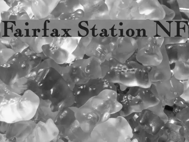 Fairfax Station NF Polices examples