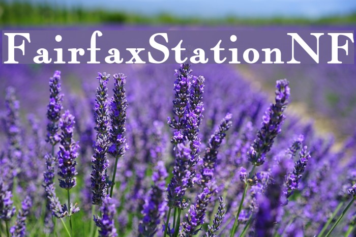 FairfaxStationNF Font examples