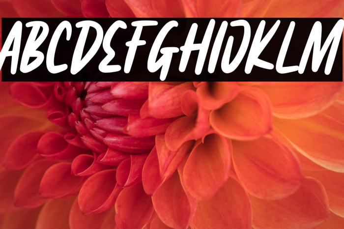 Fairgrid Urban Personal Use Example 1