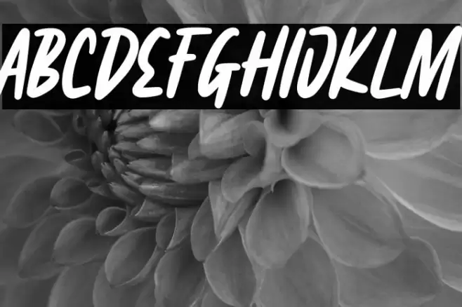 Fairgrid Urban Personal Use Polices examples