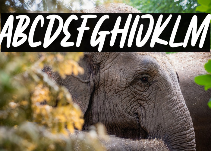 Fairgrid Urban Personal Use Example 2