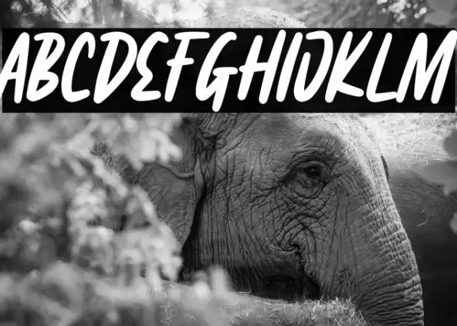 Fairgrid Urban Personal Use Polices examples