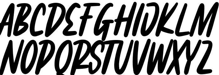 Fairgrid Urban Personal Use Polices MINUSCULES