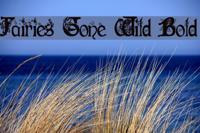 Fairies Gone Wild Bold Font examples