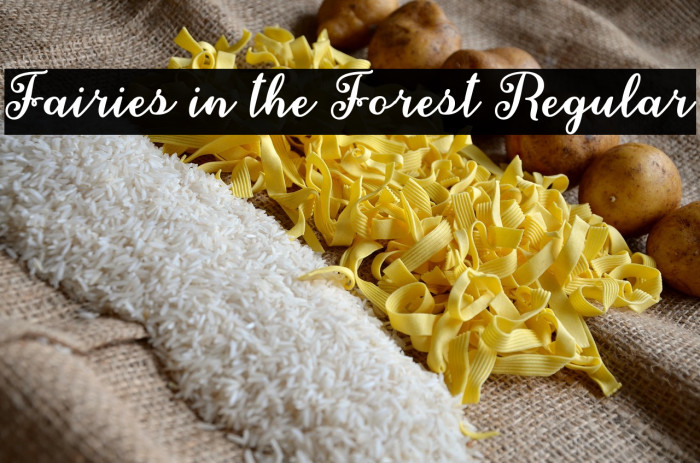 Fairies in the Forest Regular Example 1