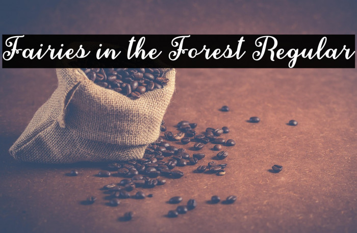 Fairies in the Forest Regular Example 3