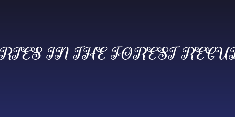 Fairies in the Forest Regular Social Header