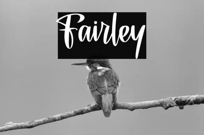 Fairley Font examples