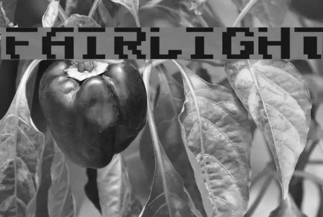 Fairlight Font examples