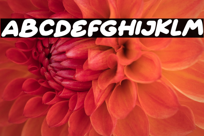 Fairy Clovers Italic Example 1