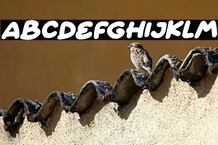 Fairy Clovers Italic Example 2