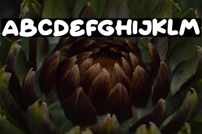 Fairy Clovers Example 1