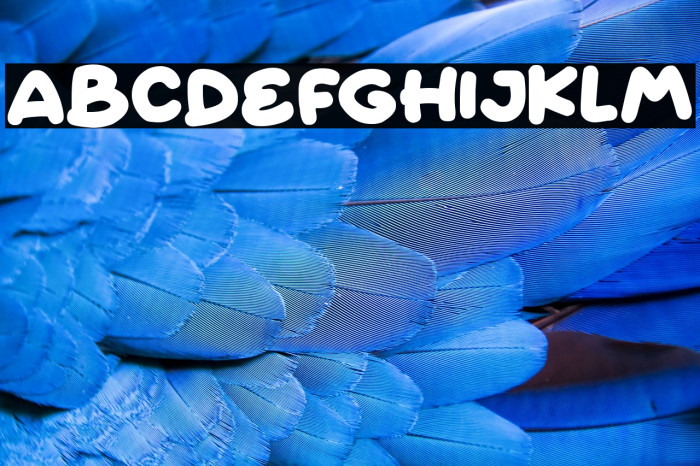 Fairy Clovers Example 2