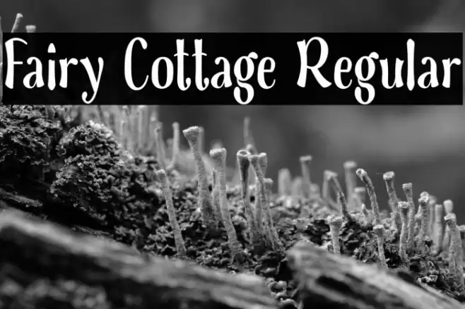 Fairy Cottage Regular Font examples