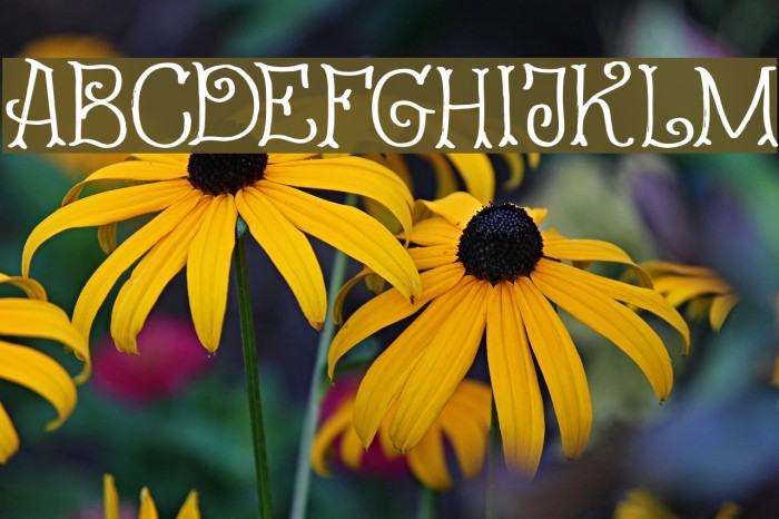 Fairy Godmother DEMO Regular Font examples