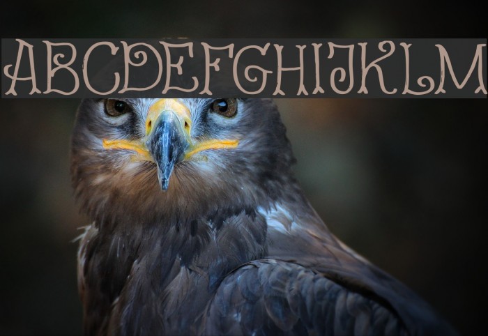 Fairy Godmother DEMO Regular Font examples