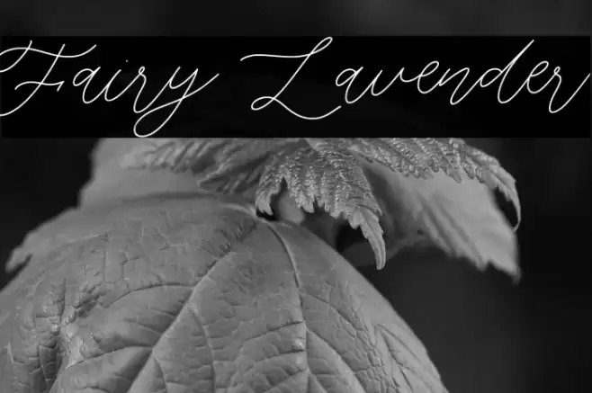 Fairy Lavender Font examples