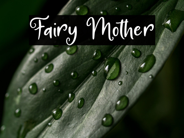 Fairy Mother Example 2