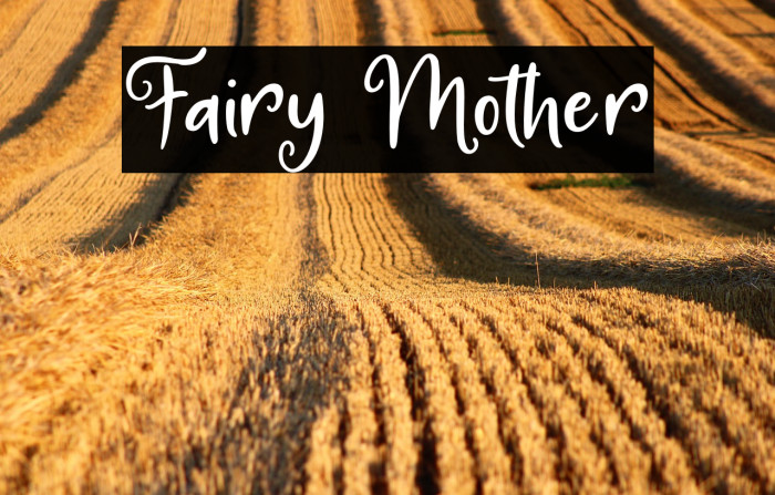 Fairy Mother Example 3
