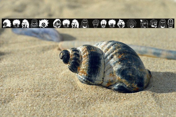 Fairy Tail Image Bold Example 3