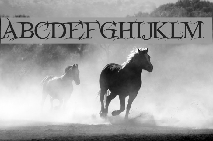 FairydustB Font examples