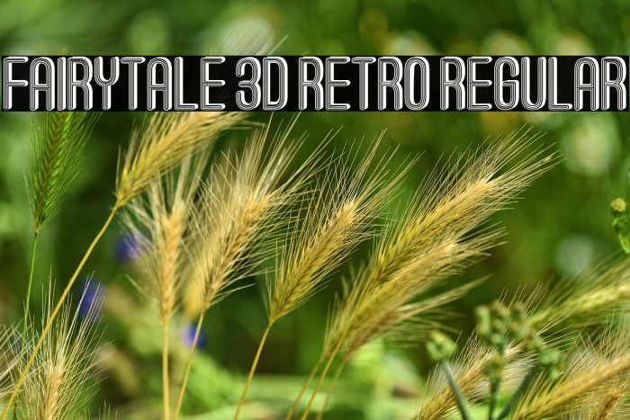 Fairytale 3D Retro Regular Example 1