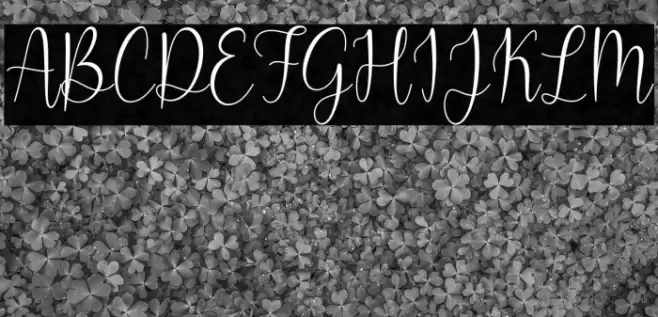 Faith Grace Font examples