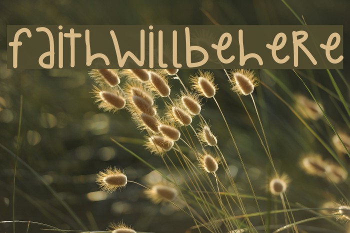FaithWillBeHere Font examples