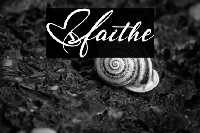 Faithe Font examples