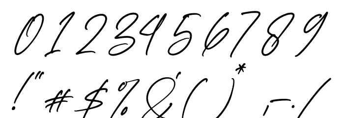 Faithfull Signature Font OTHER CHARS