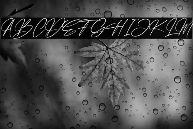 Faithfull Signature Fonte examples