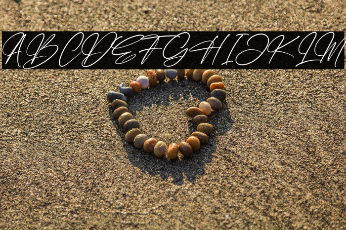 Faithfull Signature Example 2