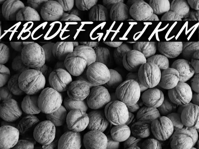 Fake Boss Font examples