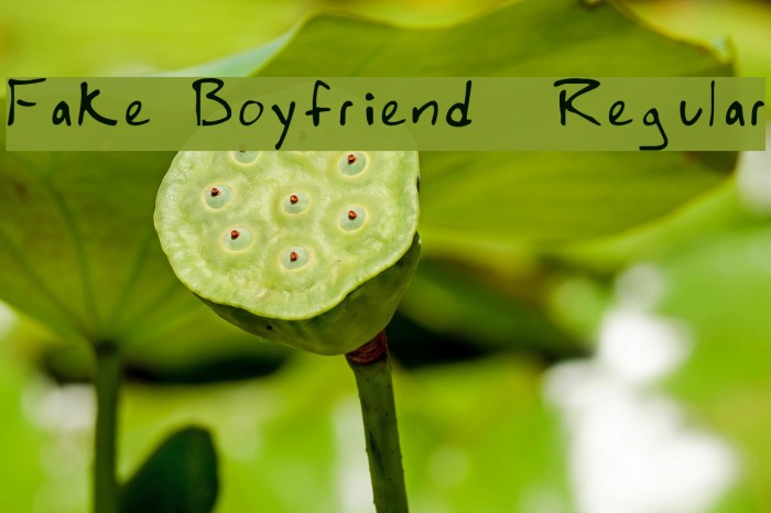 Fake Boyfriend Regular Font examples
