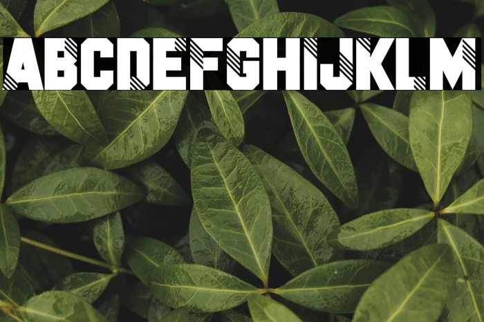 Fake Identity Example 1