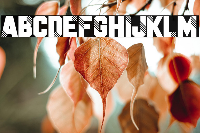 Fake Identity Example 3