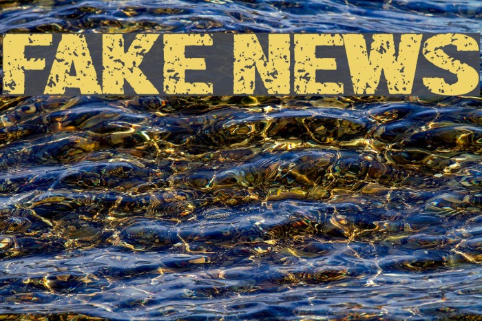 Fake News Fonte examples